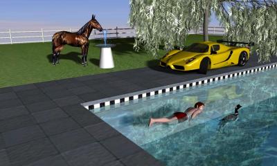 pool 3 with swimmer horse auto fence.jpg
