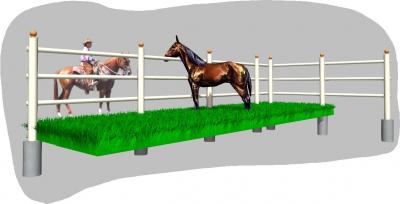 grass long fence horse.JPG