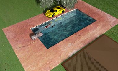 pool 2 with wood deck parting brds.jpg
