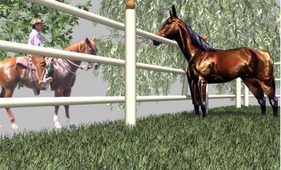 grass long use LEAF fence horse.JPG
