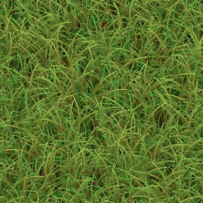 Grass 2.png